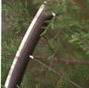 Nimble Spider standard nipple rim close up -- Click to enlarge