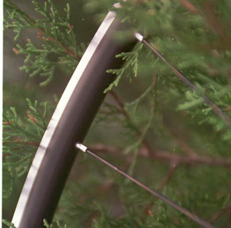 Nimble Spider rim detail in Texas hill country juniper